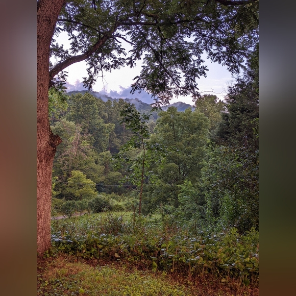 Welcome To My Artisan Closet - Picture 6 of 16